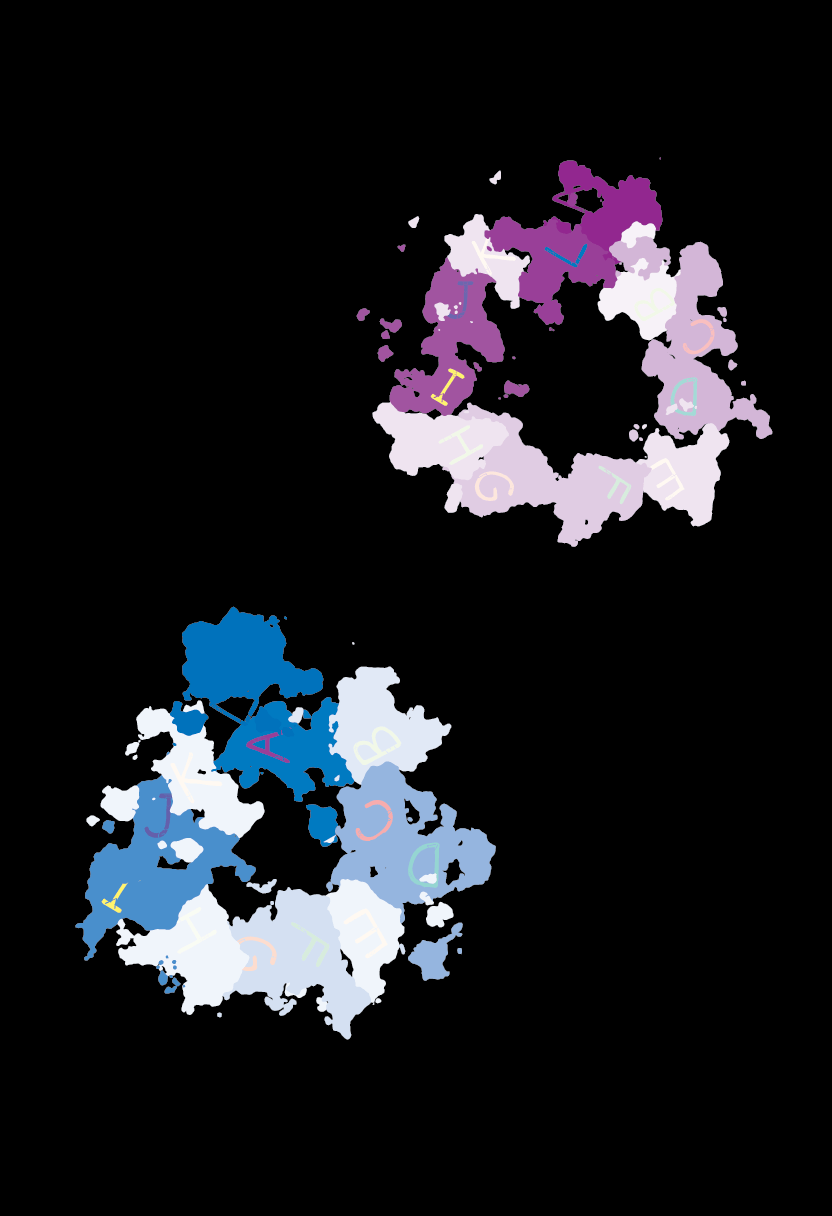 Water Vapor System balance in nature